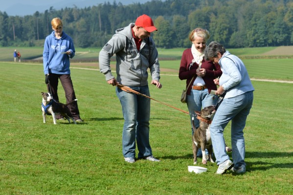 DSC_8247.jpg