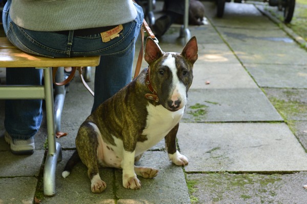 DSC_8318.jpg