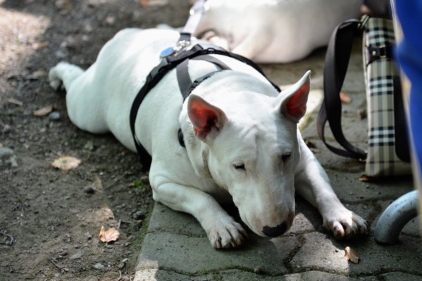 DSC_8329.jpg