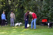 DSC_8234.jpg