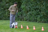 DSC_8241.jpg