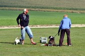 DSC_8246.jpg
