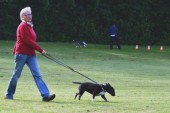 DSC_8267.jpg