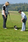DSC_8271.jpg