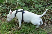 DSC_8311.jpg