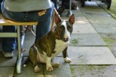 DSC_8318.jpg